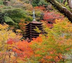 Ohara จังหวัด Kyoto